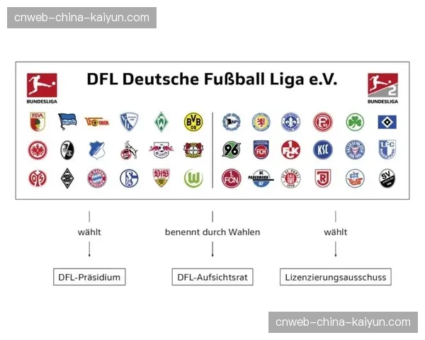 研究报告指出：女性足球内容在全球的独立消费需求正推动转播商调整制作策略